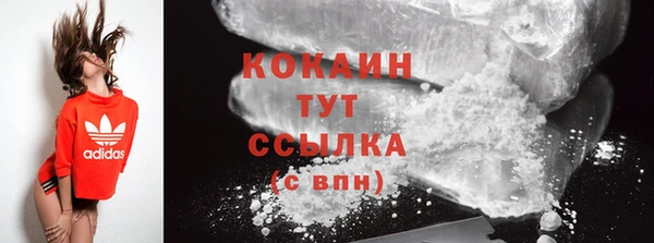 шишки Абинск