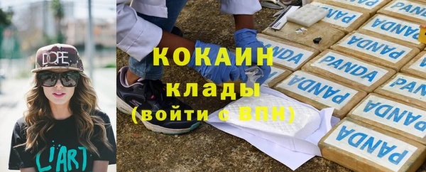 шишки Абинск