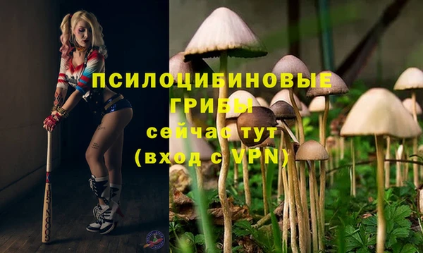 шишки Абинск