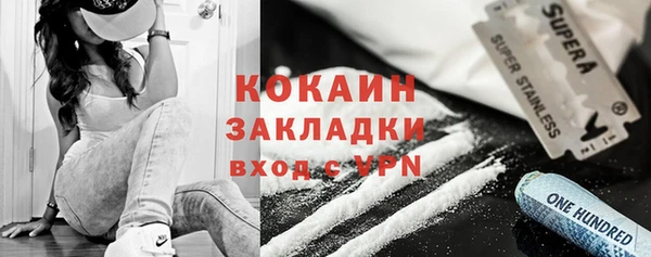 шишки Абинск
